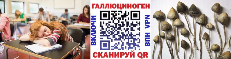 Псилоцибиновые грибы мухоморы  blacksprut зеркало  Сосновка 