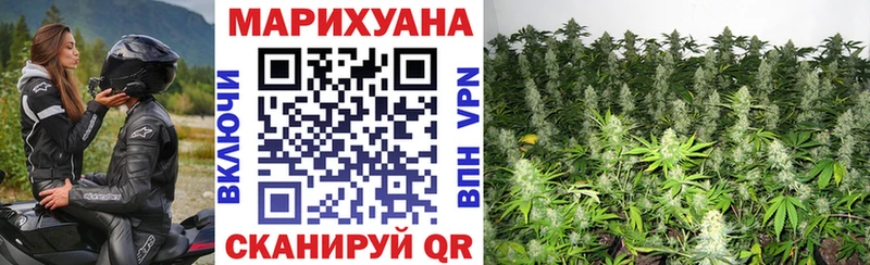 blacksprut как зайти  Сосновка  Бошки Шишки ГИДРОПОН 